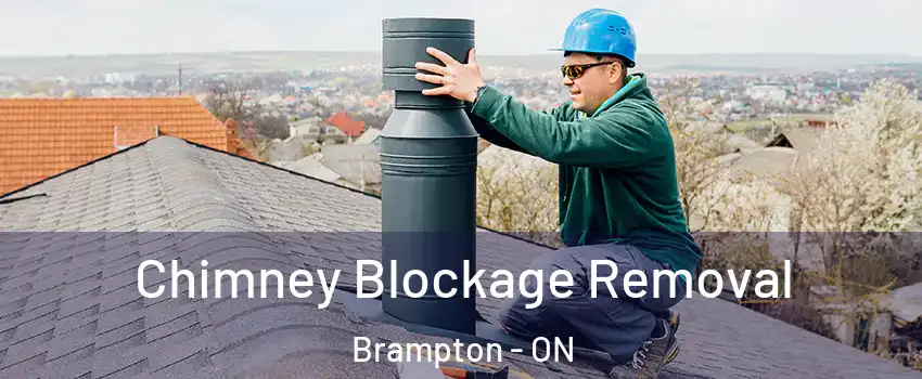  Chimney Blockage Removal Brampton - ON