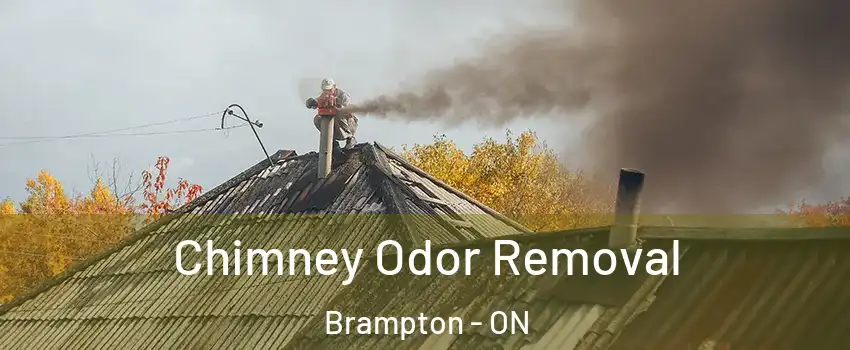  Chimney Odor Removal Brampton - ON