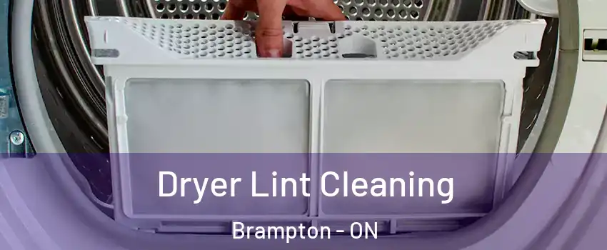  Dryer Lint Cleaning Brampton - ON