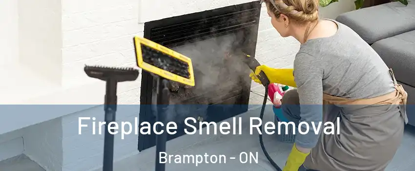  Fireplace Smell Removal Brampton - ON