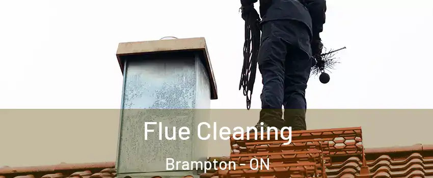  Flue Cleaning Brampton - ON